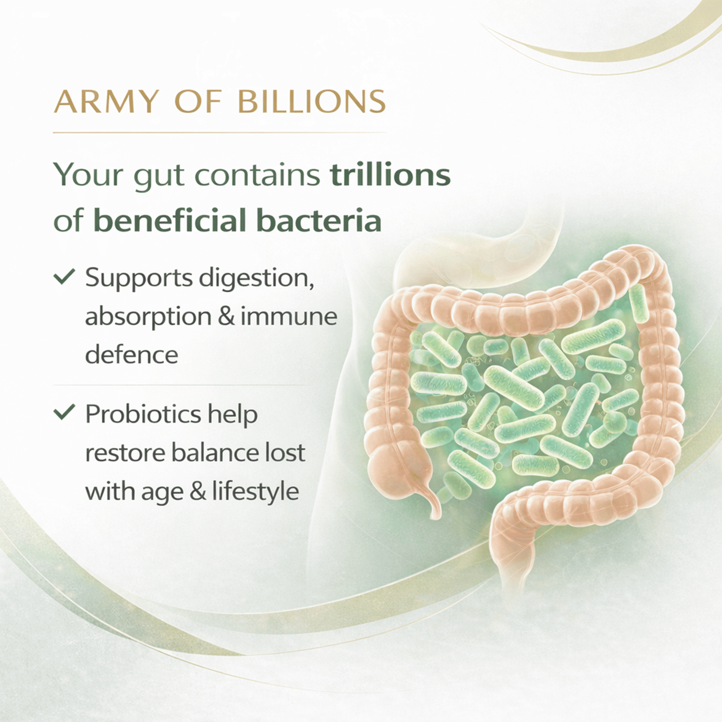 Probiotics Complex for Gut Health 60 Billion CFU Vegan Capsules Buy 3 Get 1 Free