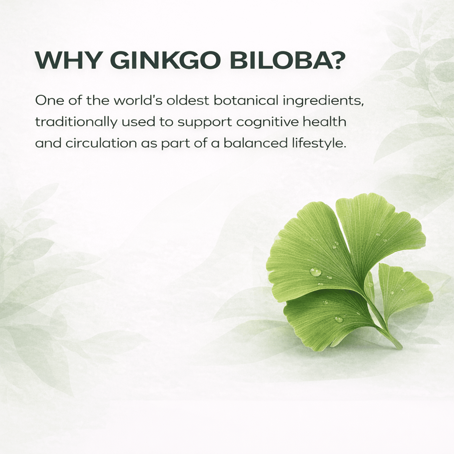 Ginkgo Biloba Capsules 15000mg Vegan High Strength UK Made Supplement